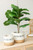 Potted Tall Artificial Fiddle Leaf Fig Tree - 21.75" - IMAGE 3