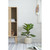 Potted Tall Artificial Fiddle Leaf Fig Tree - 21.75" - IMAGE 5