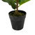 Potted Tall Artificial Fiddle Leaf Fig Tree - 21.75"