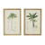 Botanical Tree Print Framed Wall Arts - 15.75" x 23.5" - Set of 2 - IMAGE 1