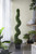 Potted Artificial Spiral Boxwood Topiary Tree - 5' - IMAGE 4