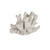 Elkhorn Coral Sculpture Coastal Accent - 9.25" - White - IMAGE 6