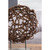 Rattan Sculpture with Teak Wood Stand - 23.5" - IMAGE 5