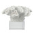 Faux Coral Sculpture with Base - 9" - White - IMAGE 2