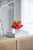 Elkhorn Coral Sculpture Accent with Base - 9.25" - Red - IMAGE 2