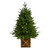 3’ Pre-Lit Potted Artificial Christmas Tree, Warm Clear Lights - IMAGE 3