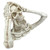 16" Shriek the Screaming Skeleton Halloween Outdoor Garden Statue - IMAGE 4