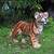 34" Standing Bengal Tiger Cub Outdoor Garden Statue - IMAGE 2