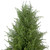 Real Touch™ Artificial Cedar Pine Arborvitae Tree in Urn Style Pot, Unlit - 5' - IMAGE 3