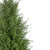 Real Touch™ Artificial Cedar Pine Arborvitae Tree in Urn Style Pot, Unlit - 5' - IMAGE 4