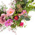 Peony Mixed Floral Half Spring Wreath - 28" - Pink