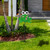 Frog Metal Outdoor Garden Stake - 23" - IMAGE 2