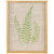 Framed Fern Leaf Print on Burlap Wall Art - 16" - Beige - IMAGE 1