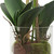 Orchid Artificial Floral Arrangements with Glass Container - 34" - Pink and White - IMAGE 3
