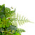 Maidenhair Fern and Assorted Foliage Spring Wreath, 24-Inch - IMAGE 4