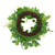 Maidenhair Fern and Foliage Spring Wreath 24-Inch