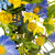 Daisy and Cosmos Floral Spring Wreath - 24" - Yellow and Blue - IMAGE 5