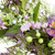 Wildflower and Berry Half Spring Wreath - 24" - Purple - IMAGE 5