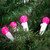 LED G12 Berry Christmas Lights - Pink - 16' White Wire - 50ct - IMAGE 2