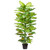 52" Potted Artificial Dieffenbachia Plant - IMAGE 1