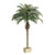 Potted Artificial Phoenix Palm Trees - 6' - Set of 2 - IMAGE 1