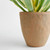 33" Artificial Agave Plant with Terra Cotta Clay Pot - IMAGE 2