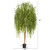 7' Willow Artificial Decorative Tree - IMAGE 2