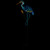 Solar Lighted Blue Heron Outdoor Garden Stake - 37"