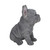 6.25" Sitting French Bulldog Puppy Outdoor Garden Statue - IMAGE 3