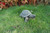 Creeping Tortoise Outdoor Garden Statue - 10" - Green and Brown - IMAGE 3