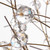202" Clear and Gold 8-Light Starlight Pendant Chandelier - IMAGE 6