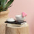Large Marble Storage Bowl with Lid - 7.25" - White - IMAGE 2