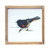 Framed Bird Print Square Wall Decorations - 9.5" - Set of 4 - IMAGE 3