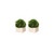Artificial Boxwood Boxed Topiary - 5.5" - Set of 2 - IMAGE 1