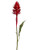 Club Pack of 24 Artificial Red Ginger Silk Flower Sprays 30.5" - IMAGE 1