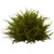 Set of 3 Lush Cedar Artificial Balls 12" - IMAGE 3