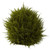 14" Cedar Decorative Sphere Topiary Artificial Tree - IMAGE 1