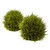 14" Cedar Decorative Sphere Topiary Artificial Tree - IMAGE 2