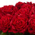 31" Red Giant Rose Silk Artificial Floral Arrangement - IMAGE 3
