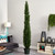 8' Artificial Mini Cedar Pine Tree in Black Pot - IMAGE 3