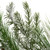Frosted Mixed Pine and Cedar with Pinecones Artificial Christmas Garland - 5' x 10" - Unlit - IMAGE 6