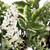 Real Touch™️ Frosted Pinecones and Berries Artificial Christmas Wreath - 24" - Unlit