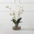 Orchid Artificial Floral Arrangements with Glass Container - 13" - White and Green - IMAGE 4