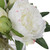 Lush Peony Blossoms and Buds Artificial Bouquet - 10" - White and Green - IMAGE 3
