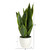 16" Artificial Sansevieria Plant in White Planter - IMAGE 4