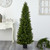 5.5' Cypress Cone Topiary Artificial Tree in Nursery Pot - IMAGE 2