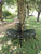 4' Solid Black Home Furniture Collections Semi-Circle Tree-Wrap Bench - IMAGE 4