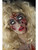 39" Red and Beige Zombie Fairy Tale Women Make Up Kit Costume Accessory - One Size - IMAGE 6