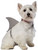 Gray Shark Dorsal Fin Halloween Pet Costume - 2XL - IMAGE 1