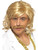 26" Blonde Game Show Host Wig and Tash Men Adult Halloween Costume Accessory - One Size - IMAGE 1